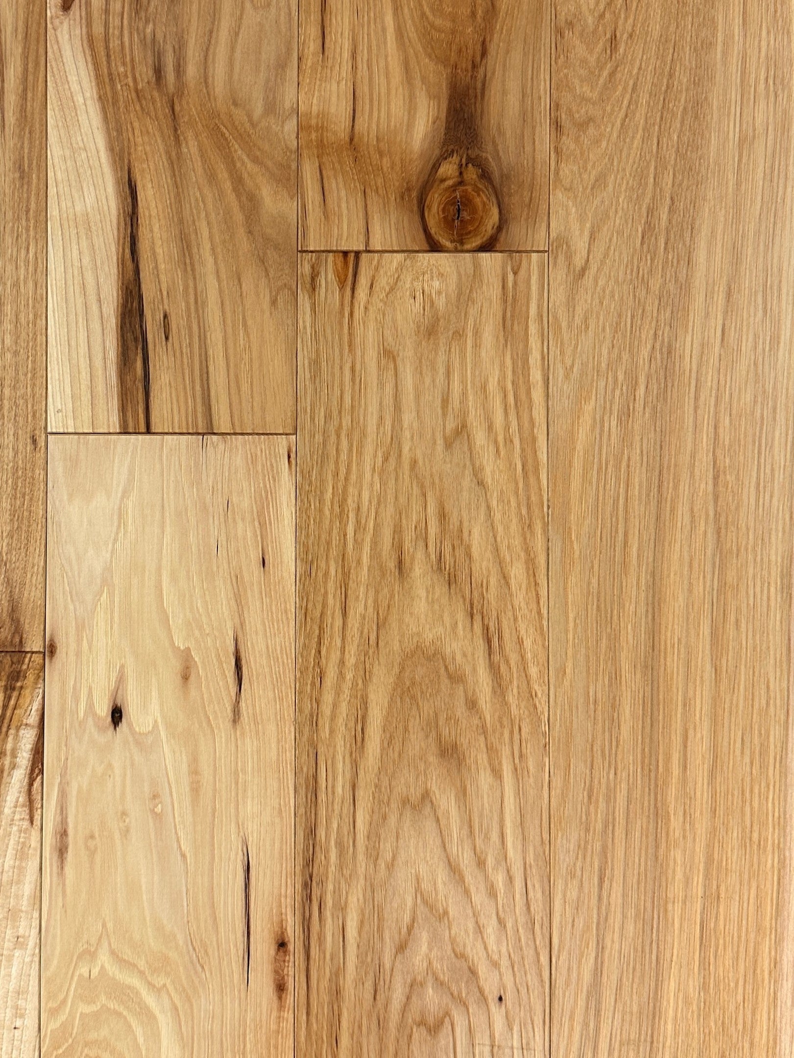 Hickory