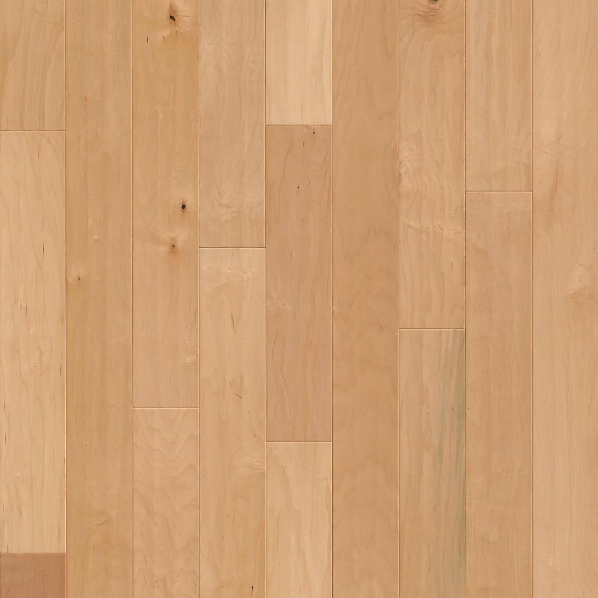 Maple